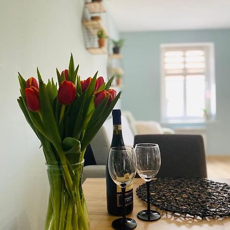 Apartament Bankowa イェレニャ・グーラ エクステリア 写真