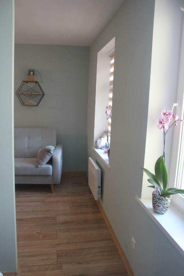 Apartament Bankowa イェレニャ・グーラ エクステリア 写真